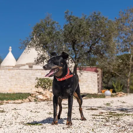 Apartment Trullo Lilia Ceglie Messapica
